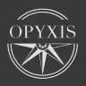 OPYXIS - Statut des services logo