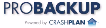 Pro Backup status page logo